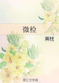 微检康