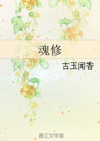 魂修的十二个境界
