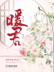 暖君实体书有番外篇吗