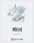 略国家