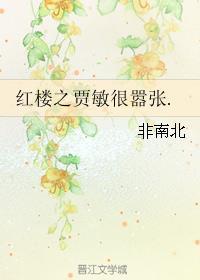 红楼之贾敏很嚣张免费阅读