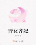 齐妃真名