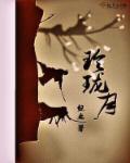 玲珑月季优缺点