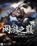 网游之巅峰传说免费阅读入口