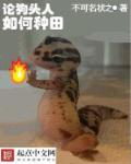狗头人的技能