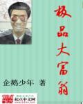 极品大富翁老刘改编目录