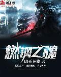 燃钢之魂有玩家吗