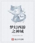 梦幻西游神域无敌