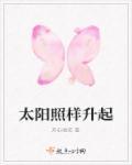 太阳照样升起是莫泊桑作品