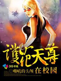 护花天尊在校园txt未删减