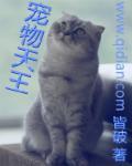 宠物天王百度百科女主