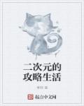 二次元让生活更美好作文