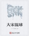 大宋完本
