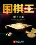 围棋王晨帆