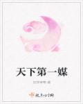 天下第一媒婆50全集