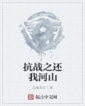 抗战之还我河山免费观看