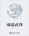 魂尊魂宗