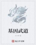 基因武道类似的