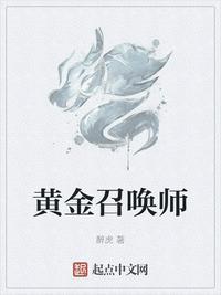 黄金召唤师zip