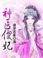 神医傻妃轩辕烨孟拂影