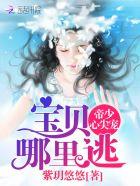 帝少心尖宠宝贝免费阅读