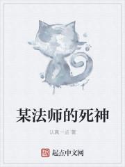 法师可以带死神意志吗