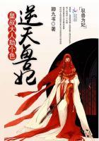 逆天兽妃皇叔大人劫个色 txt