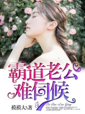 霸道老公难伺候无删减