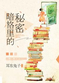 暗格里的秘密 电视剧免费