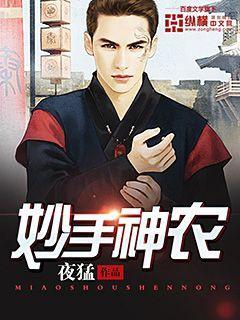 妙手神农短剧1-100集