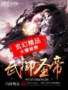 武御圣帝txt全本完结