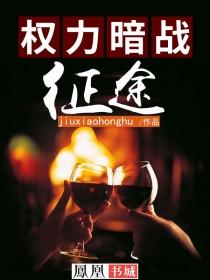 权力暗战征途TXT
