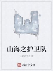 妄想山海护卫
