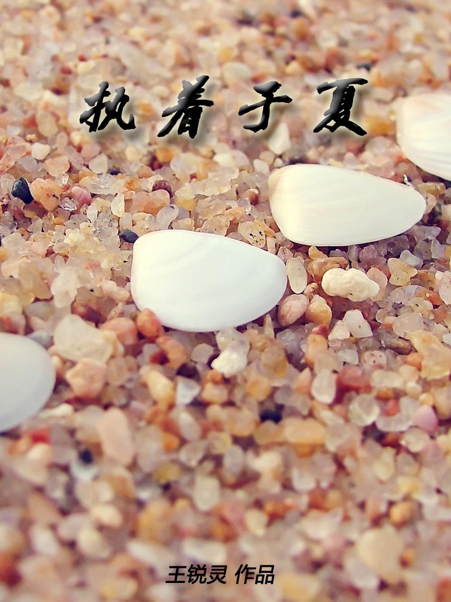 执着于他全集免费阅读