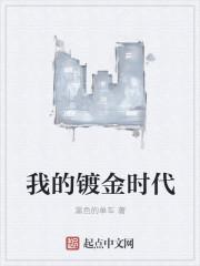 我的镀金时代顶点