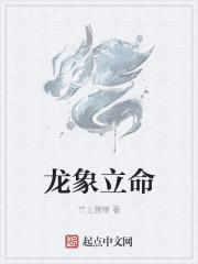 龙象功法