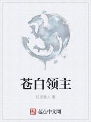 苍白国王是谁