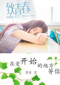 在爱开始的地方等你评分