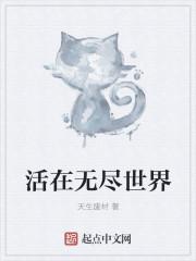 海贼王无尽世界R