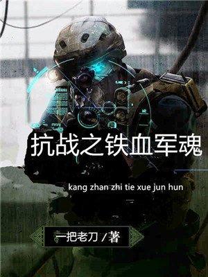 抗战之铁血军魂陆山完整版