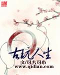 古玩人生完整版