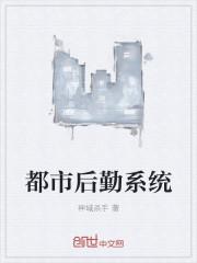 ALIS后勤系统