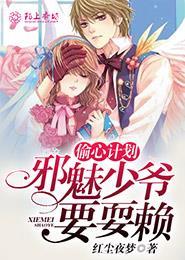 偷心计划完整版