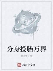 主角分身万界的