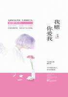 我赌你爱我可是我输了是什么歌
