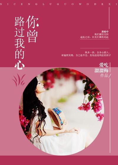 我曾路过你的心英文翻译