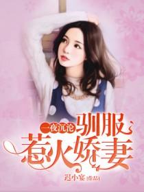 一夜沉沦驯服惹火娇妻全文TXT
