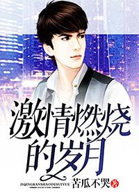 电视剧激情燃烧的岁月