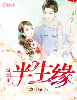 一城烟雨半生缘完整版