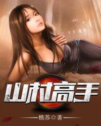山村高手TXT完结版